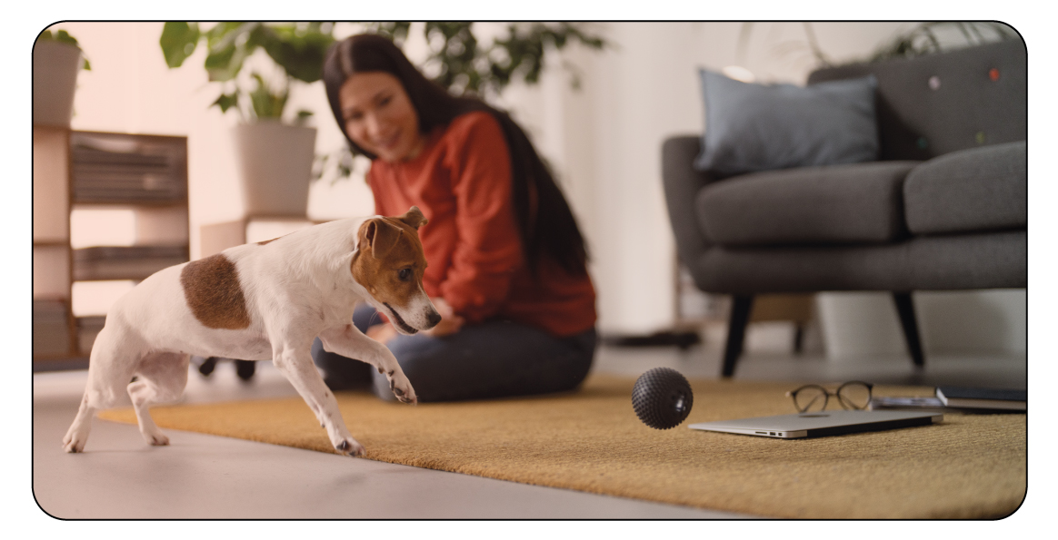 Smart-Pet-Toys